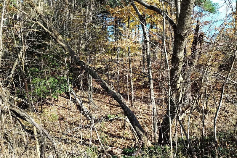 0 Church St N, Ajax, 000000 | Image 3