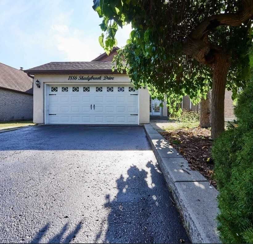 Detached House leased at Bsmt-1886 Shadybrook Drive, Pickering, Amberlea, L1V3A8 - MLS: E5841876