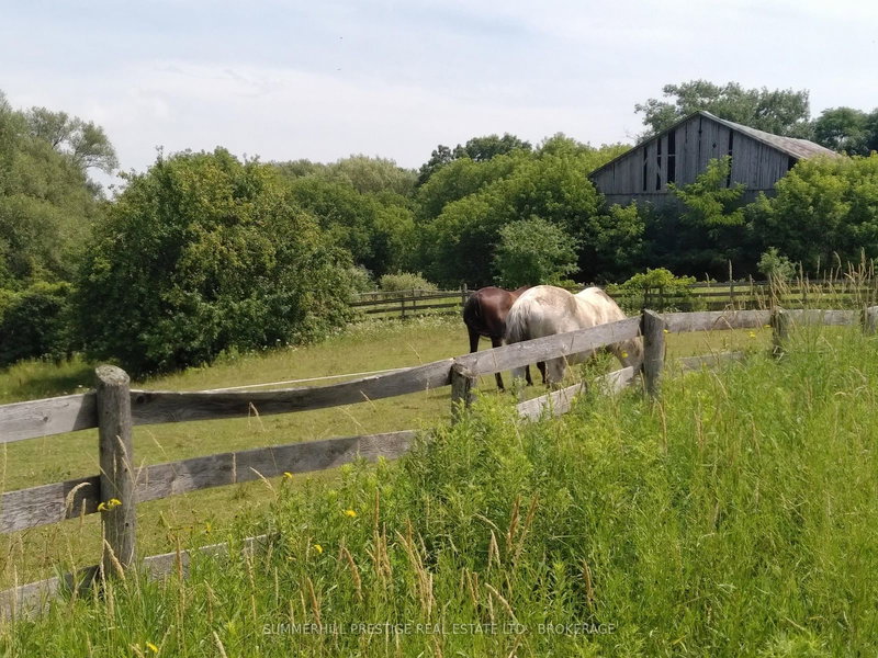 2405 Audley Rd N, Ajax, L1Z 1T4 | Image 2