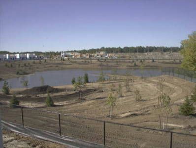 40 Reindeer Dr, Toronto, New | Image 2