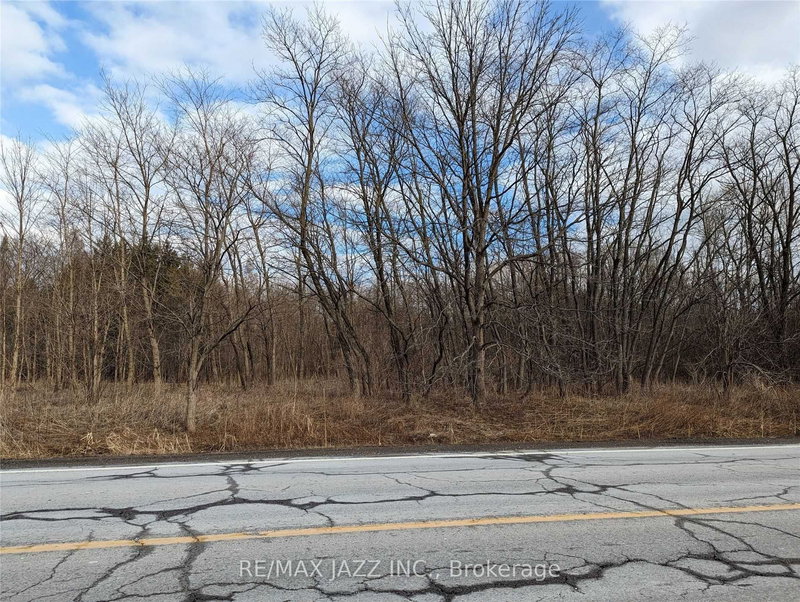 505 Townline Rd N, Clarington, L1E 2J4 | Image 2