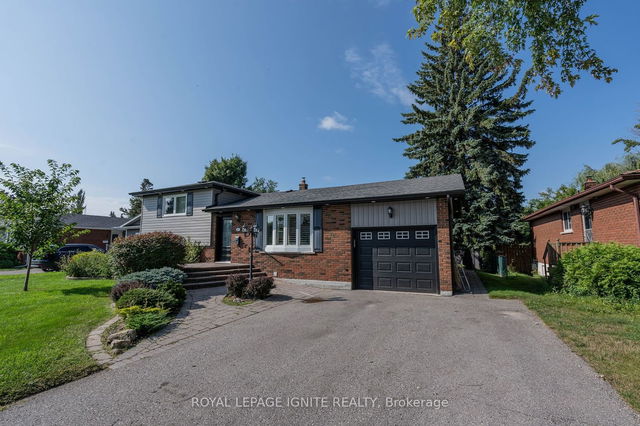 48 Hills Road