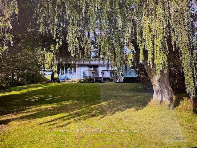 427 Carnegie Beach Road