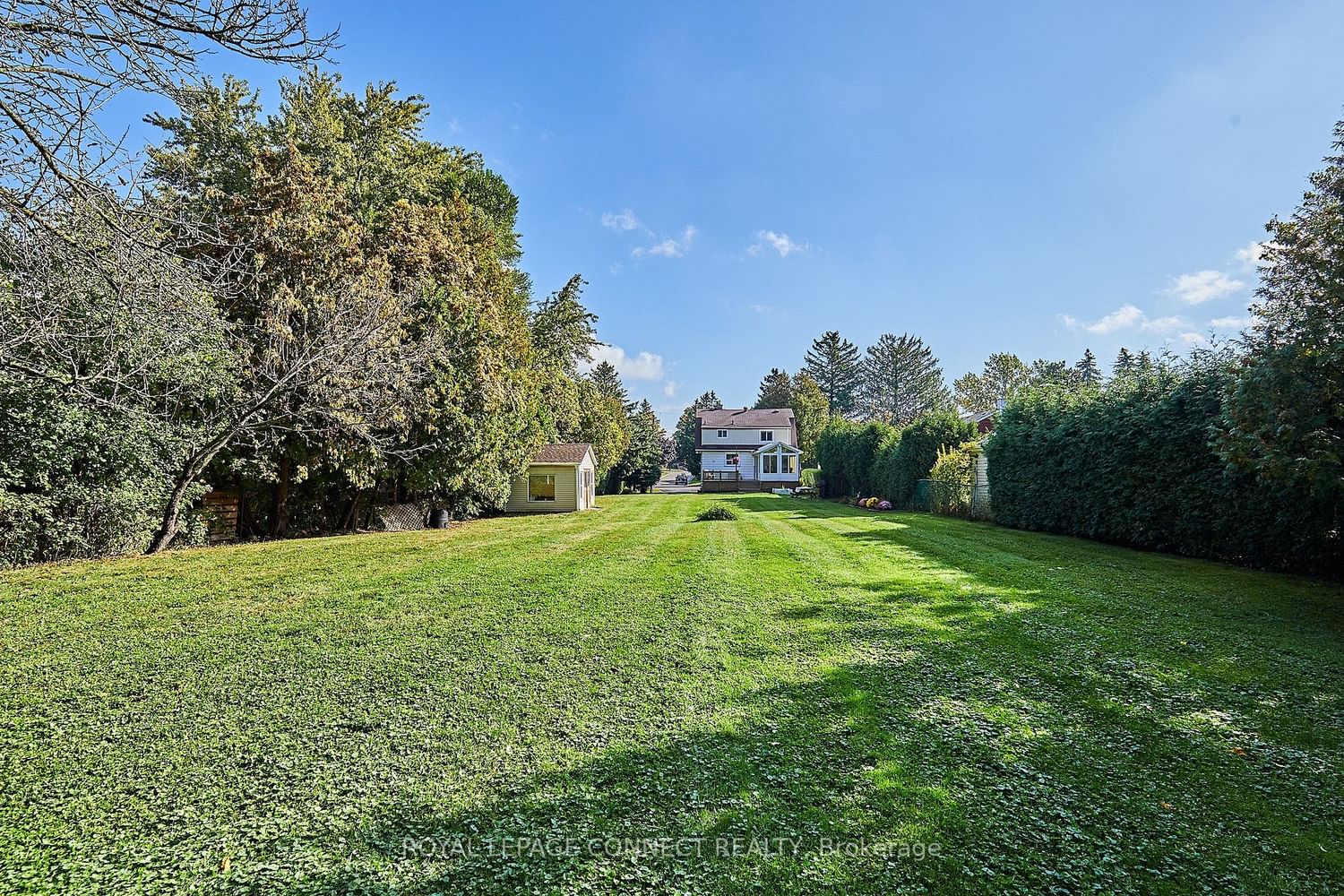 Listing Image 33