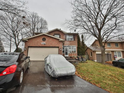 Detached House leased at Bsmnt-816 Linden Court, Whitby, Ontario, L1N 6S8 - Williamsburg - MLS: E7338070