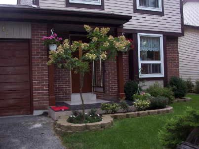 37 Banner Cres, Ajax, L1S3S8 | Image 2