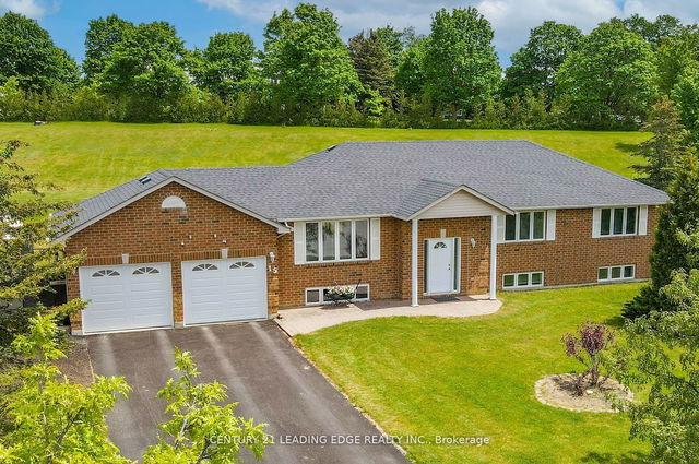 15 Pardo Court