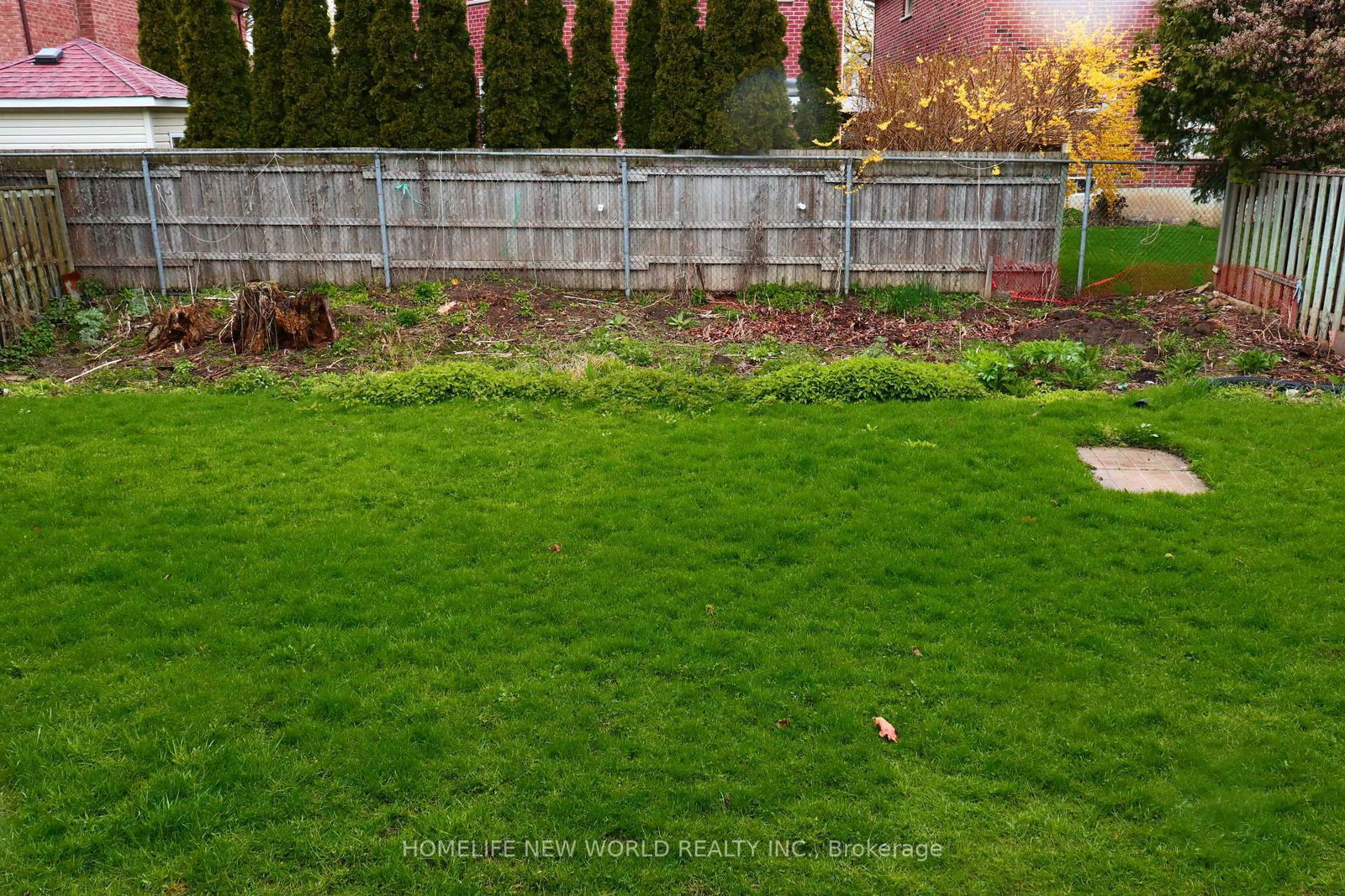 Listing Image 7