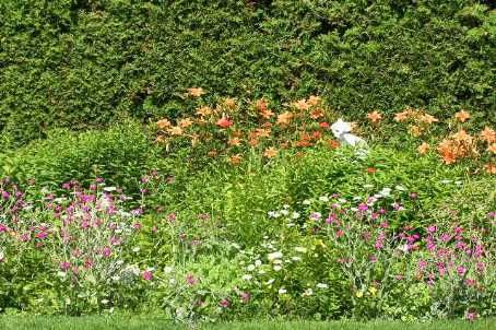 630 Buchan Ave, Oshawa, L1J3A3 | Image 3