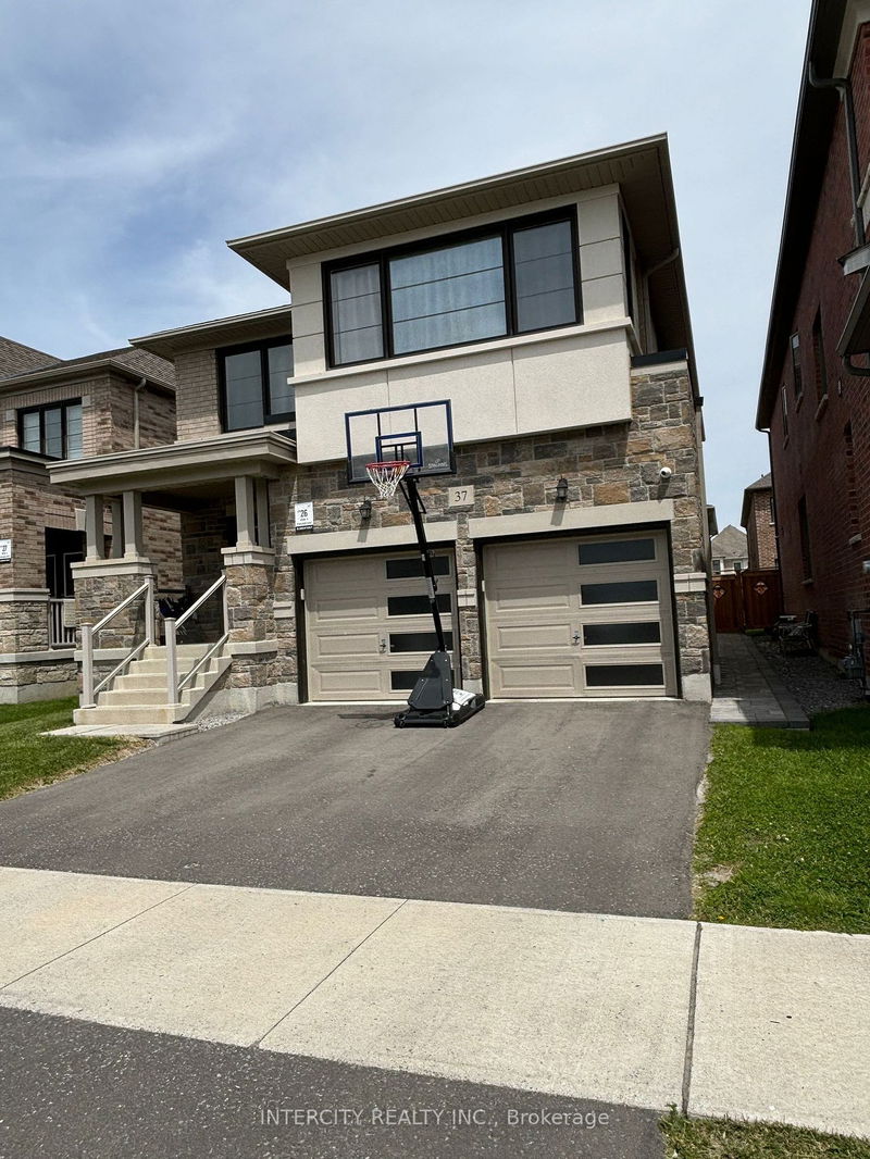 home for lease on Bsmt-37 Mulgrave Street