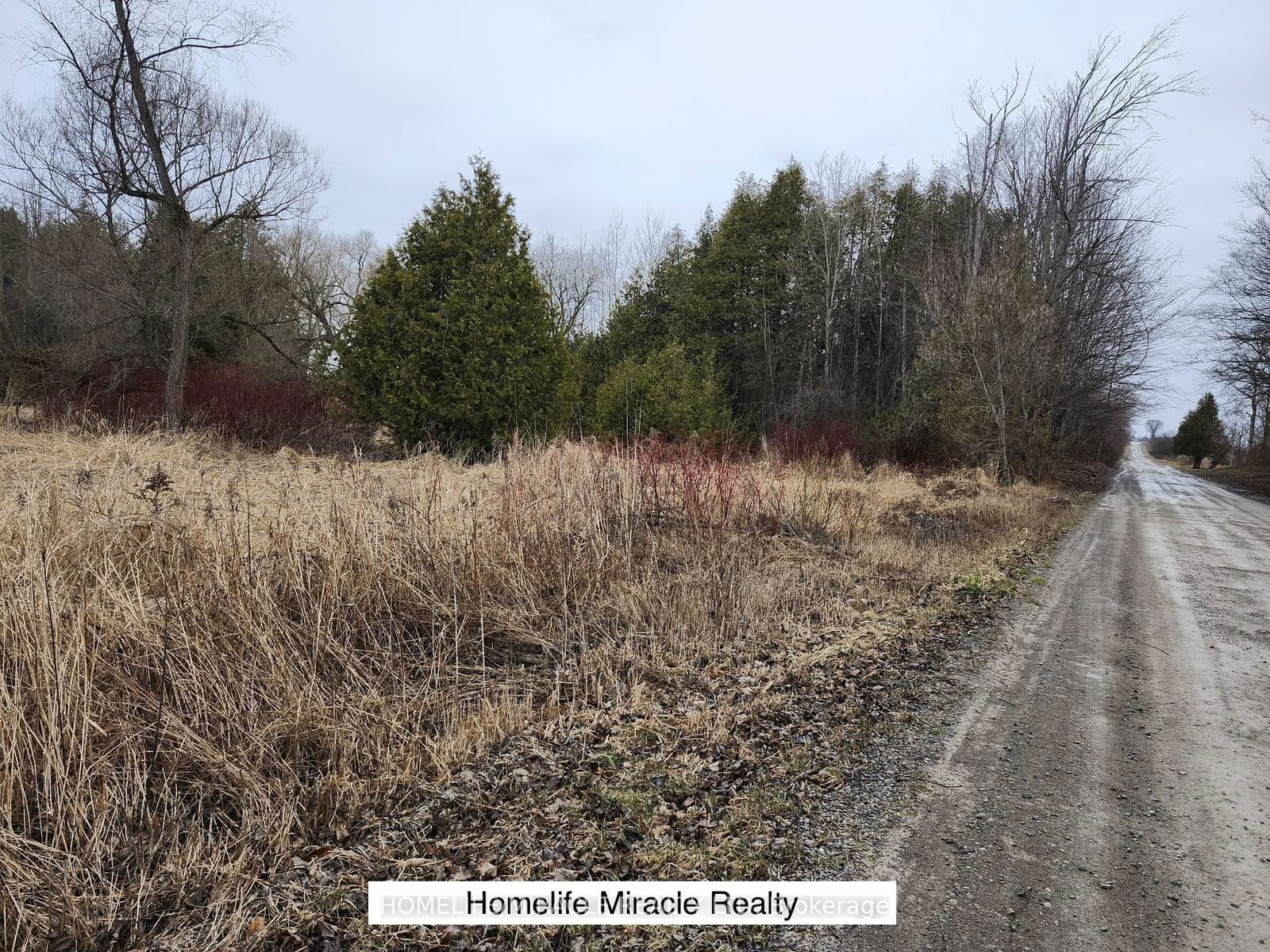 Vacant Land sold at 21 Holt Road, Clarington, Rural Clarington, L1C 3K4 - MLS: E9236582