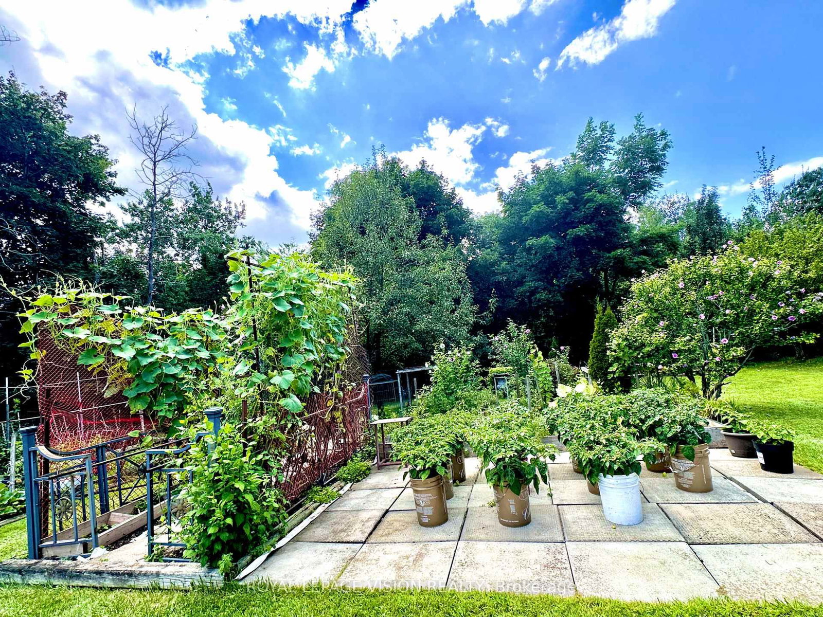 Listing Image 20