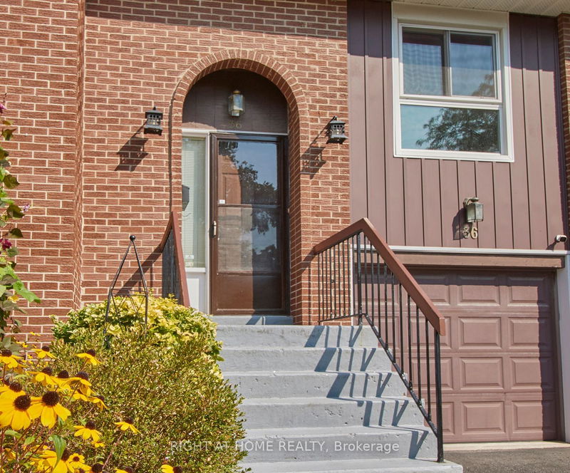  36 - 443 Manse Rd  Toronto, M1E 3V7 | Image 3