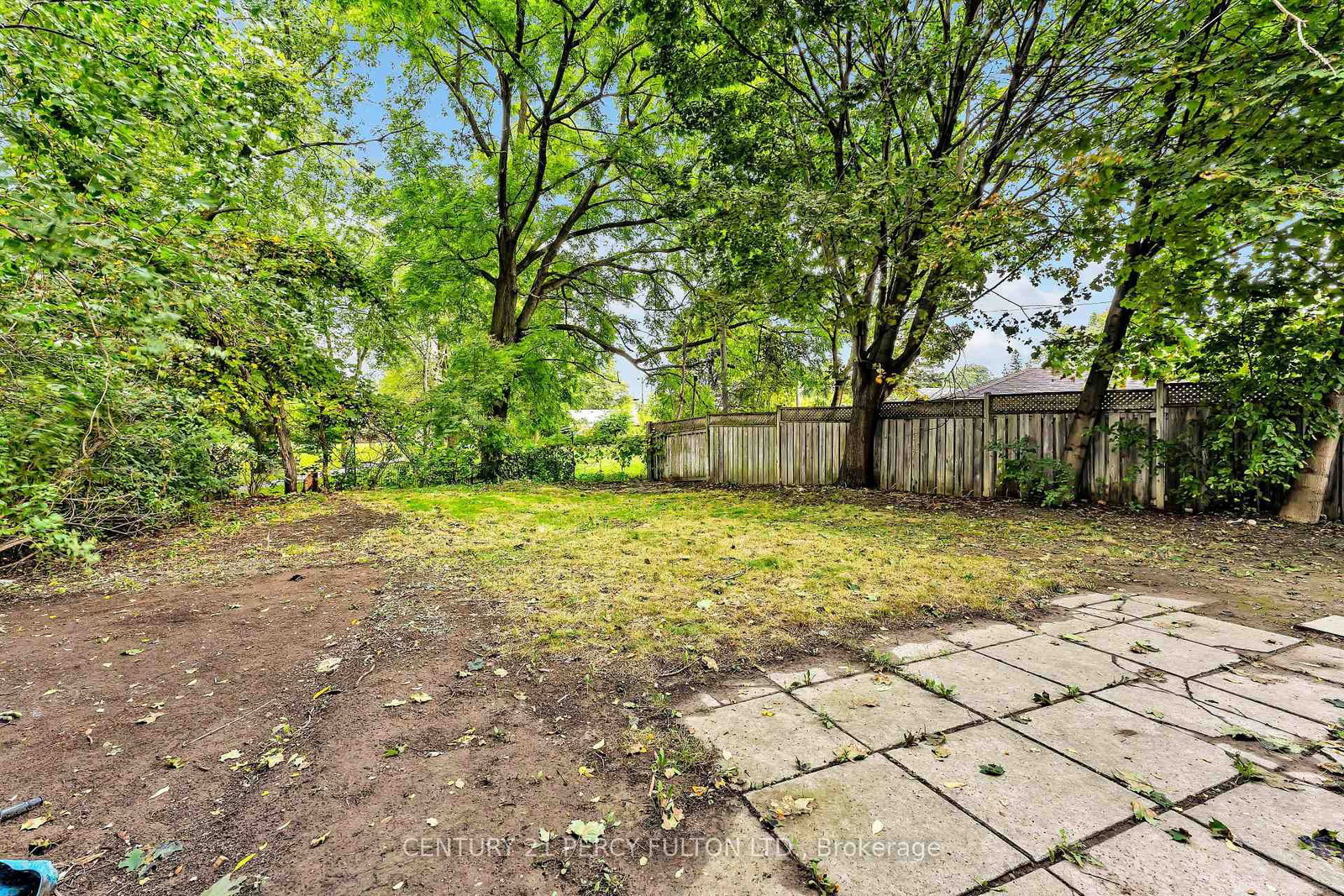 Listing Image 31