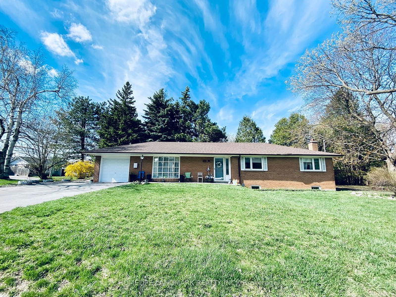 home for lease on Bsmt-50 Alpaca Drive