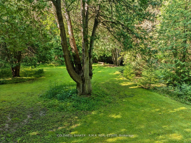 Lot 7 Burnham Creek Rd  Clarington, L0A 1E0 | Image 11