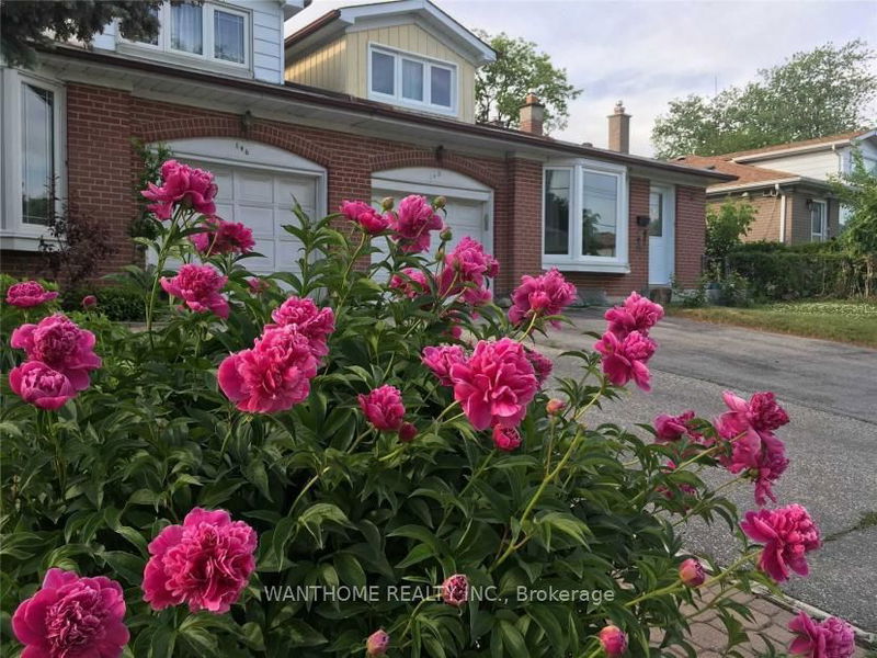 home for lease on Ground-148 Old Sheppard Avenue