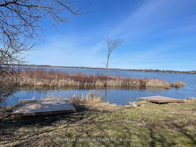 334 Fralick's Beach Rd, Scugog - Rural Scugog image-0-2