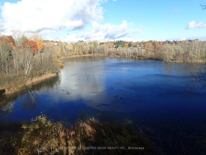 3536 Bloomington Rd, Whitchurch-Stouffville, L4A 4A2 | Image 2