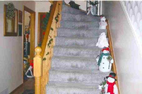 59 Victoria Ave, Brock, L0K1A0 | Image 2