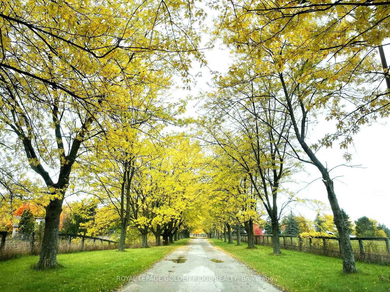 13682 Warden Ave, Whitchurch-Stouffville, L4A 7X5 | Image 2