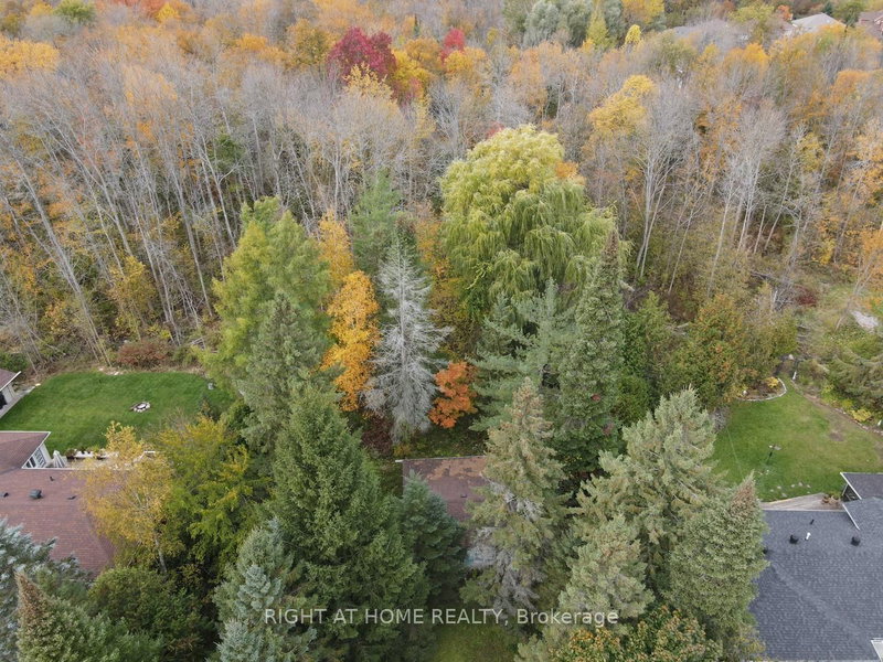 2802 Ireton St, Innisfil, L9S 2J2 | Image 3