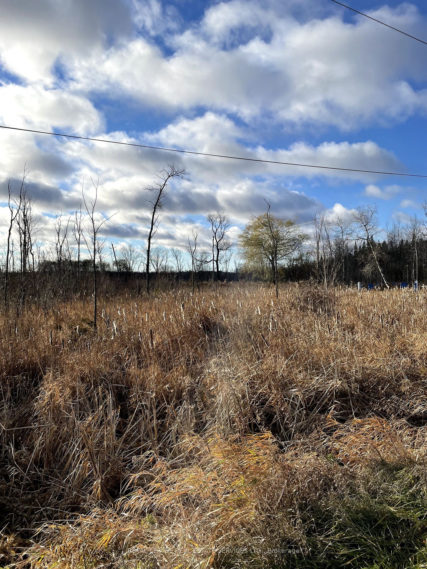 Building at PTLT 35 Concession 2 Sideroad, Uxbridge, Rural Uxbridge