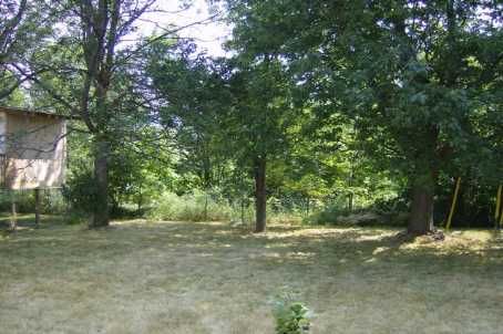 41 Eastern Ave, New Tecumseth, L0G1W0 | Image 2