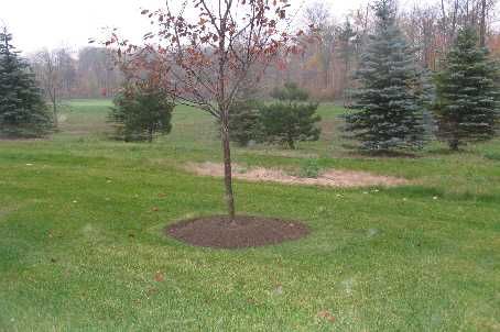 86 Legendary Tr, Whitchurch-Stouffville, L4A1N5 | Image 3