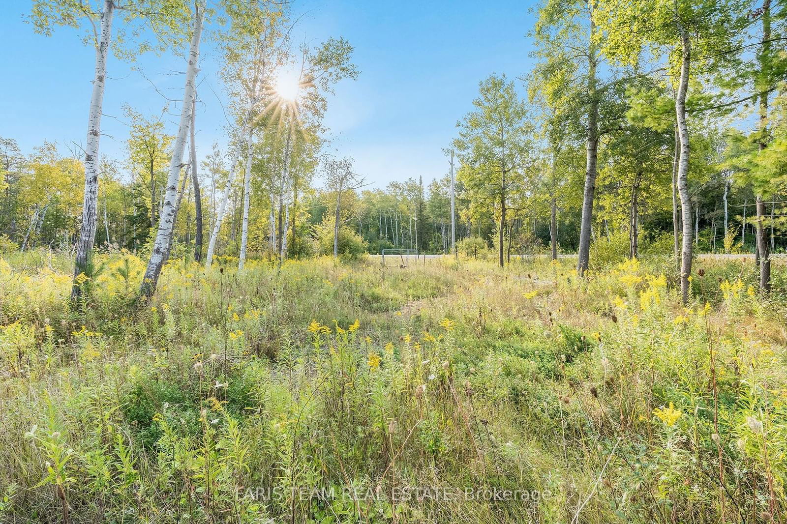 Land for sale at 3152 Davis Drive, East Gwillimbury, Rural East Gwillimbury, L3Y 4W1 - MLS: N11882734