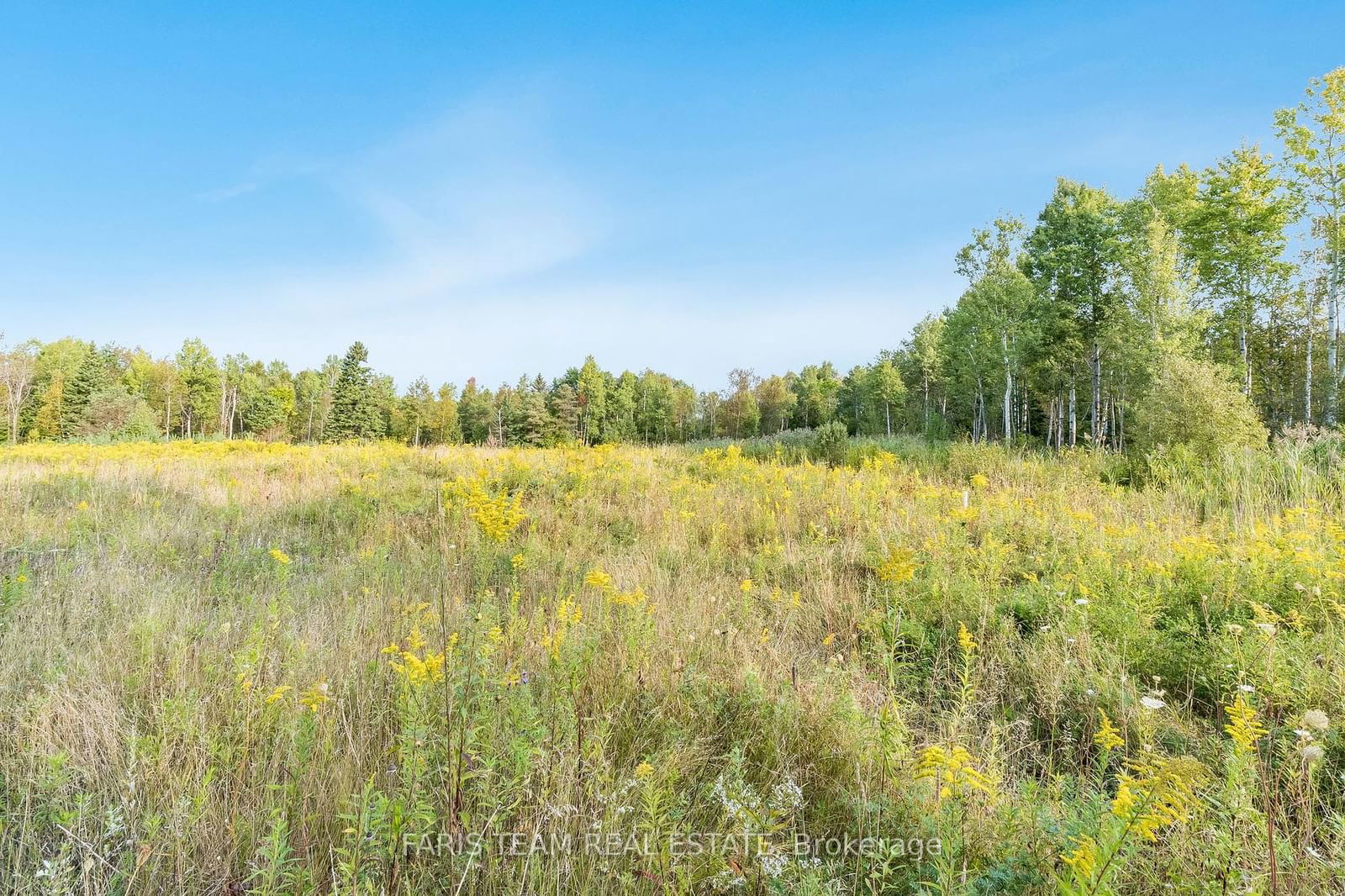 Land for sale at 3152 Davis Drive, East Gwillimbury, Rural East Gwillimbury, L3Y 4W1 - MLS: N11882734