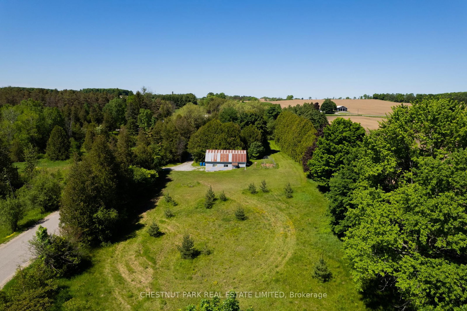 Listing Image 3