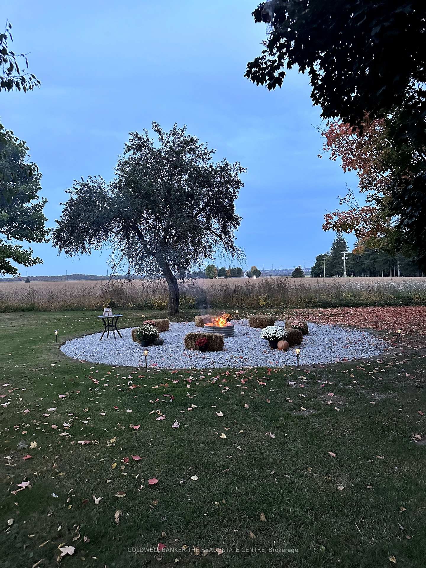 Listing Image 37