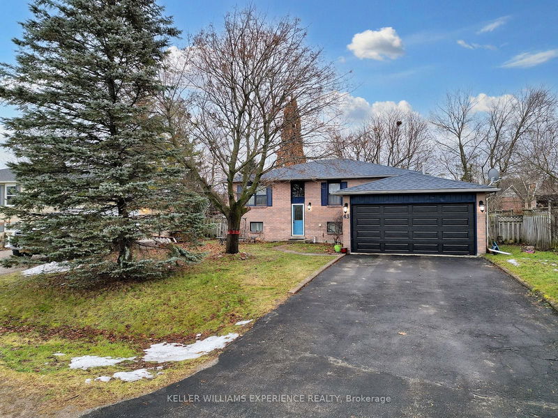 43 Mccarthy Cres, Essa - Angus image-0-0