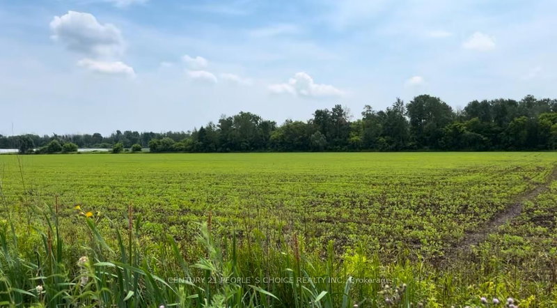 325 Lipchey Rd, King, L3Y 4V9 | Image 2