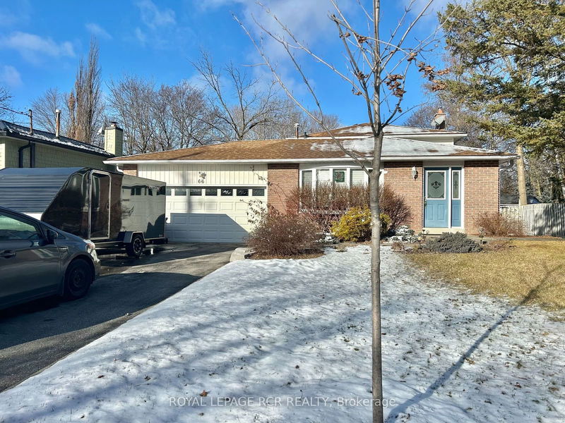 66 Maple Ave, New Tecumseth - Beeton image-0-0