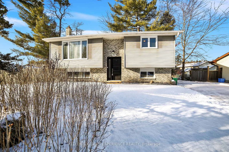 home for sale on 37 Tree Top Street