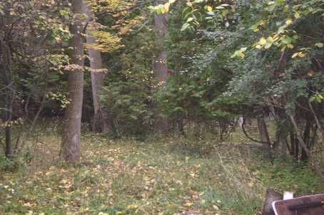 12 Christidis Dr, Georgina, L0E1L0 | Image 3