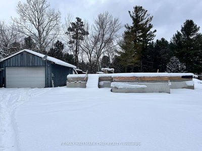 8240 Main St, Adjala-Tosorontio - Lisle image-0-3