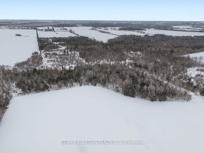 Part Lot 9 Regional Road 10 Rd, Brock - Rural Brock image-0-4