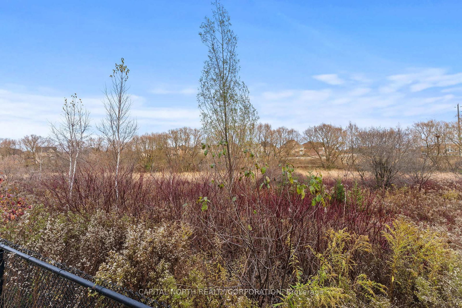 12 Alex Campbell Crescent - Photo 41