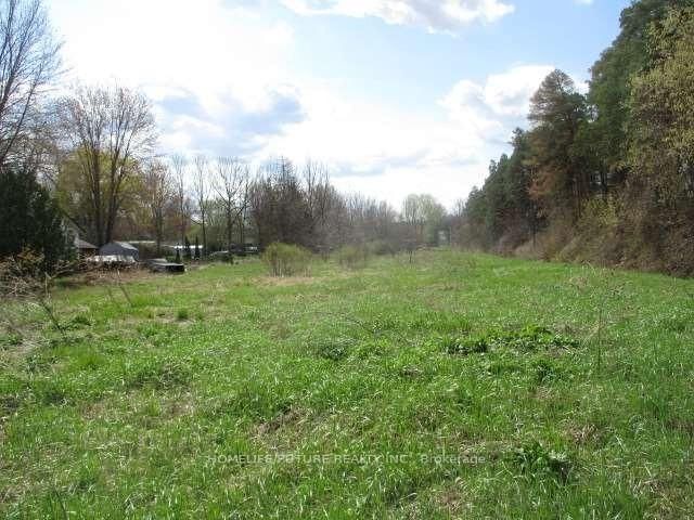 Vacant Land for sale at 119 Second Street, New Tecumseth, Beeton, L0G 1A0 - MLS: N11981503