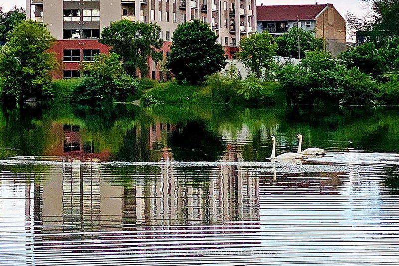 608 - 64 Queen St S, New Tecumseth, L0G 1W0 | Image 2