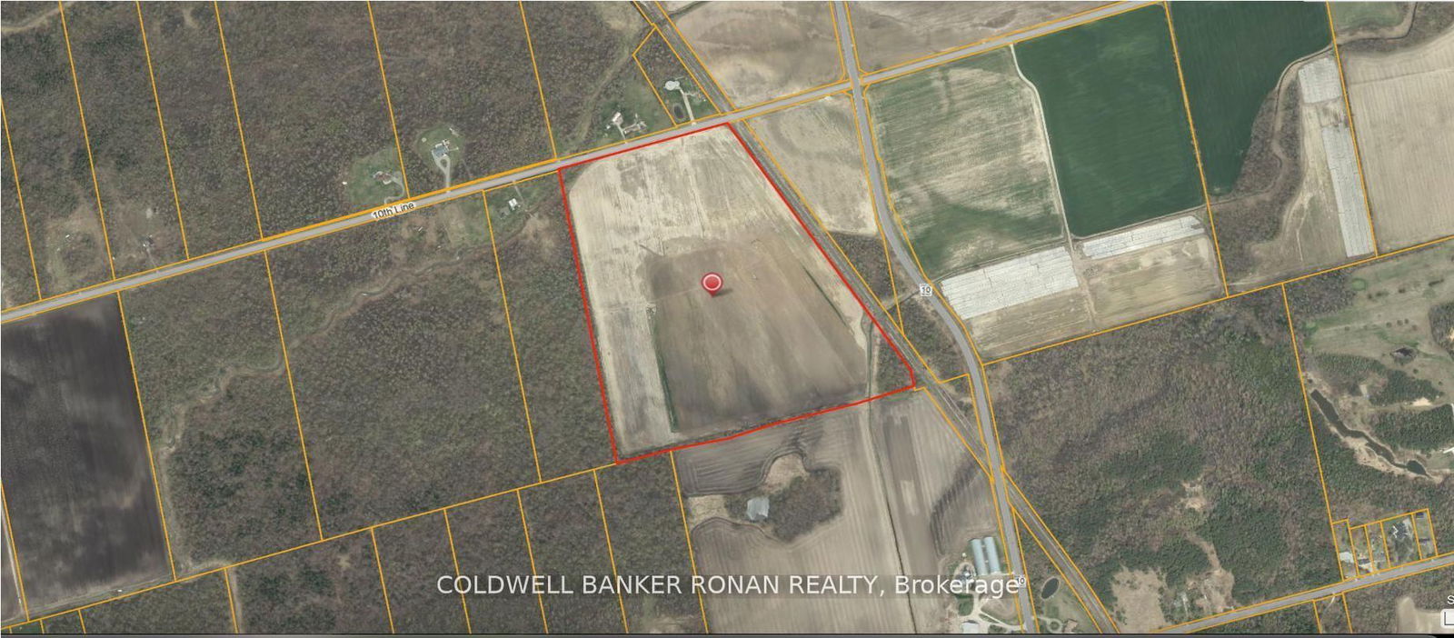 Land for sale at 6817 10th Line, New Tecumseth, Rural New Tecumseth, L0G 1A0 - MLS: N12024334