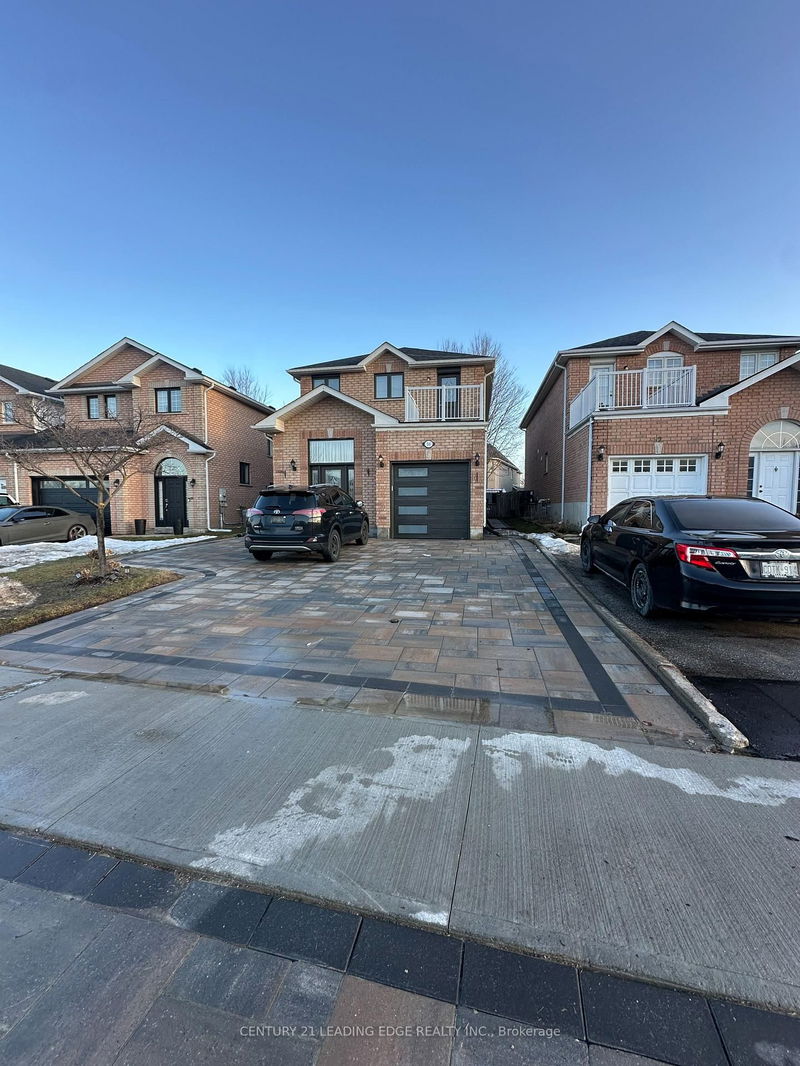 home for lease on Basement-50 Clearmeadow Boulevard