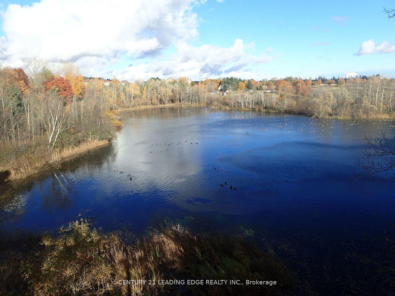 3536 Bloomington Rd, Whitchurch-Stouffville, L4A 4A2 | Image 2