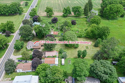 4533 Mount Albert Rd, East Gwillimbury - Rural East Gwillimbury image-0-1