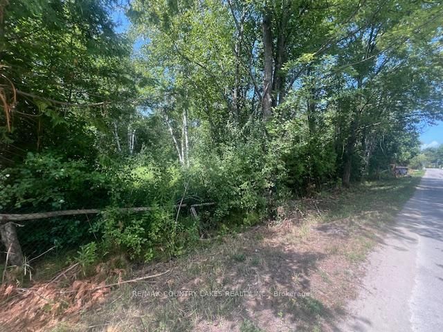 122-123 RIVERVIEW BEACH Rd, Georgina, L0E 1N0 | Image 3