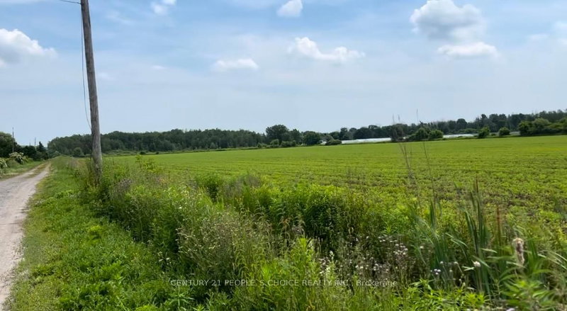 325 Lipchey Rd, King, L3Y 4V9 | Image 3