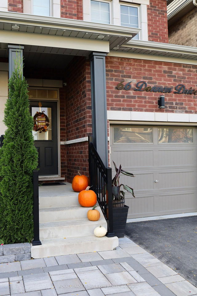 66 Donnan Drive